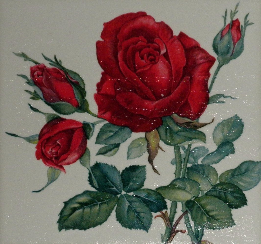 P1050407
