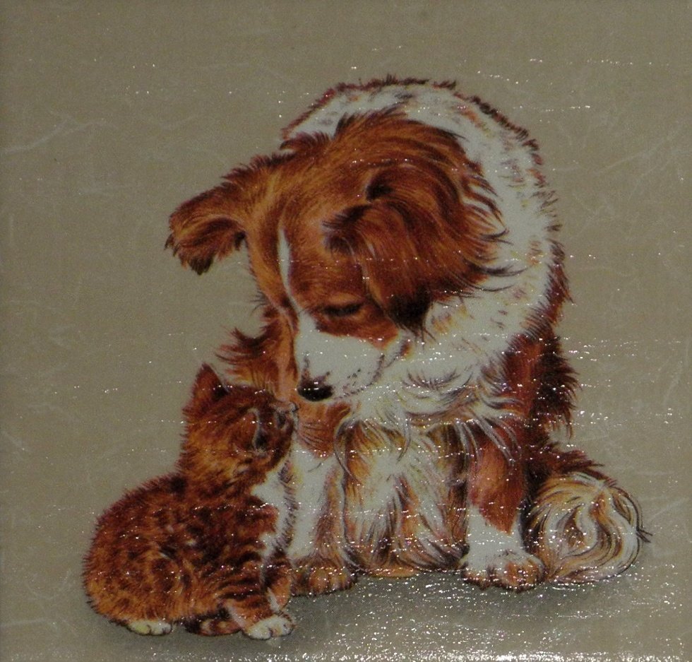 P1050410